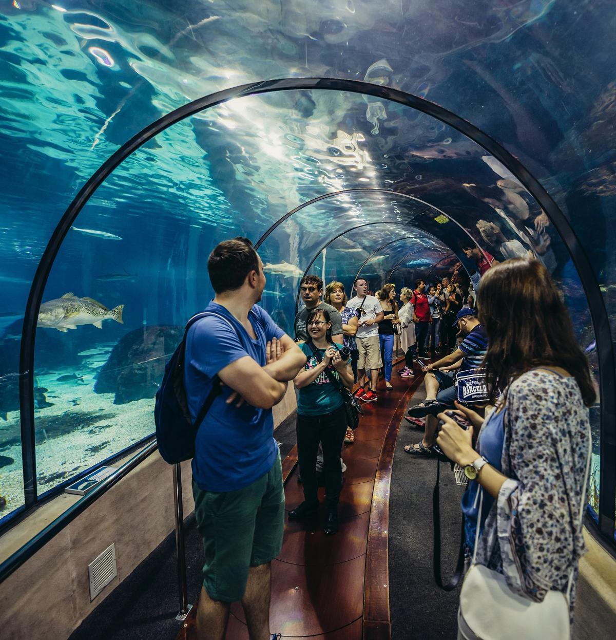 Acquario di Barcellona